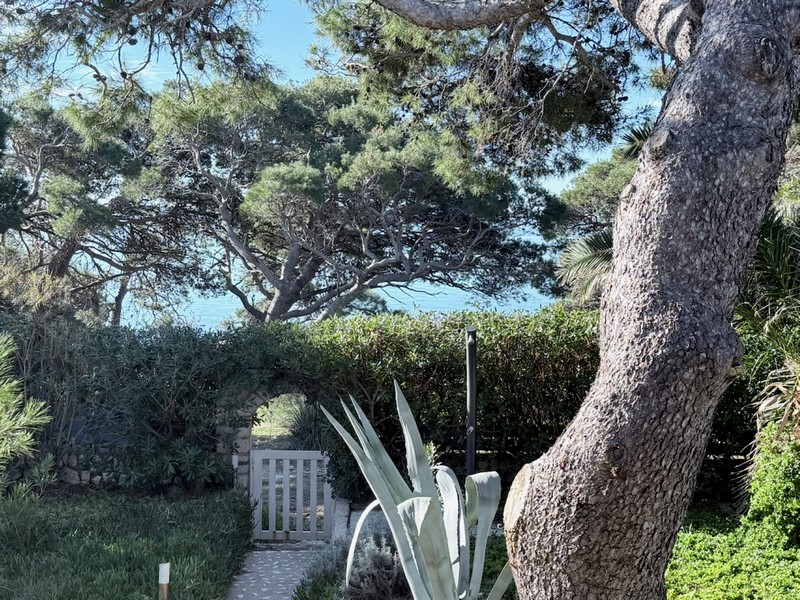 Vista sull'ambiente mediterraneo e sul mare.