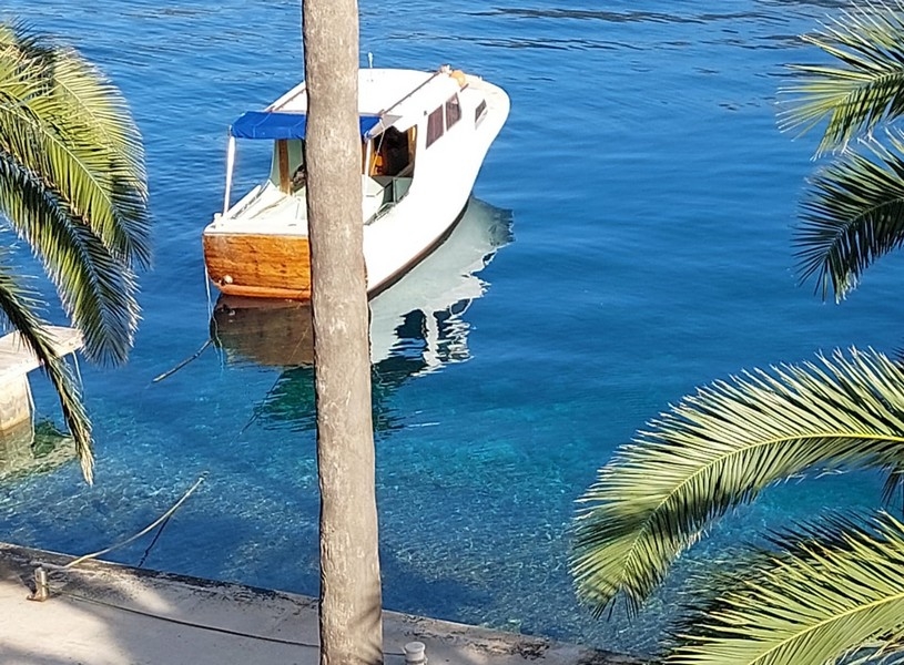 Barca in legno nell'acqua limpida tra foglie di palma