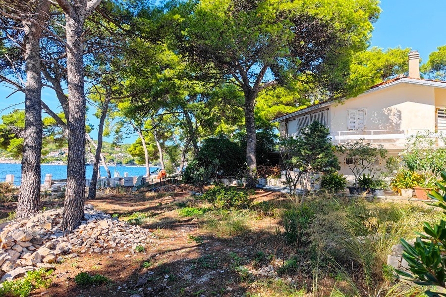 Casa mediterranea sotto i pini sul mare - immobile H3921.