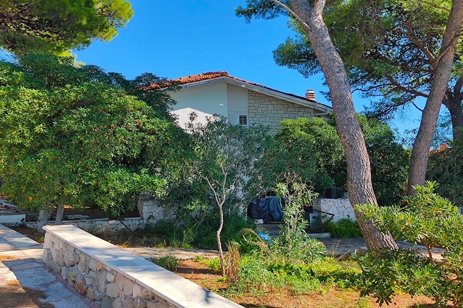 Casa in prima fila al mare con giardino e pineta