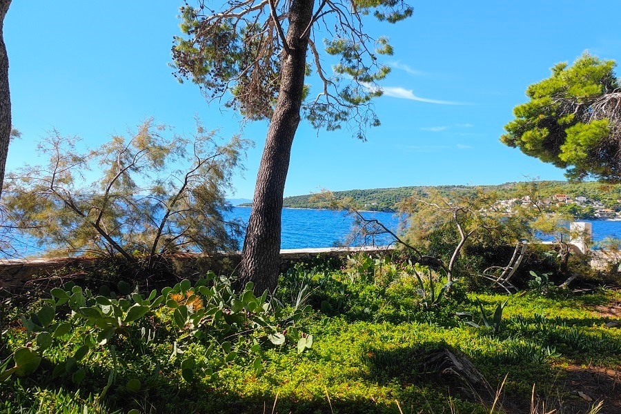 Terreno direttamente sul mare con vegetazione mediterranea e vista