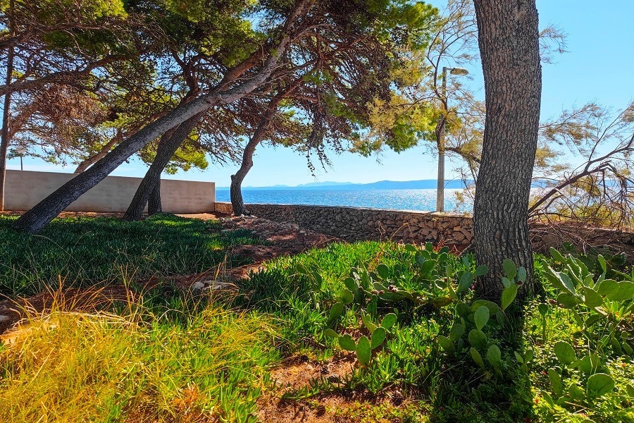 Posizione costiera con spiaggia rocciosa e vista sulla baia