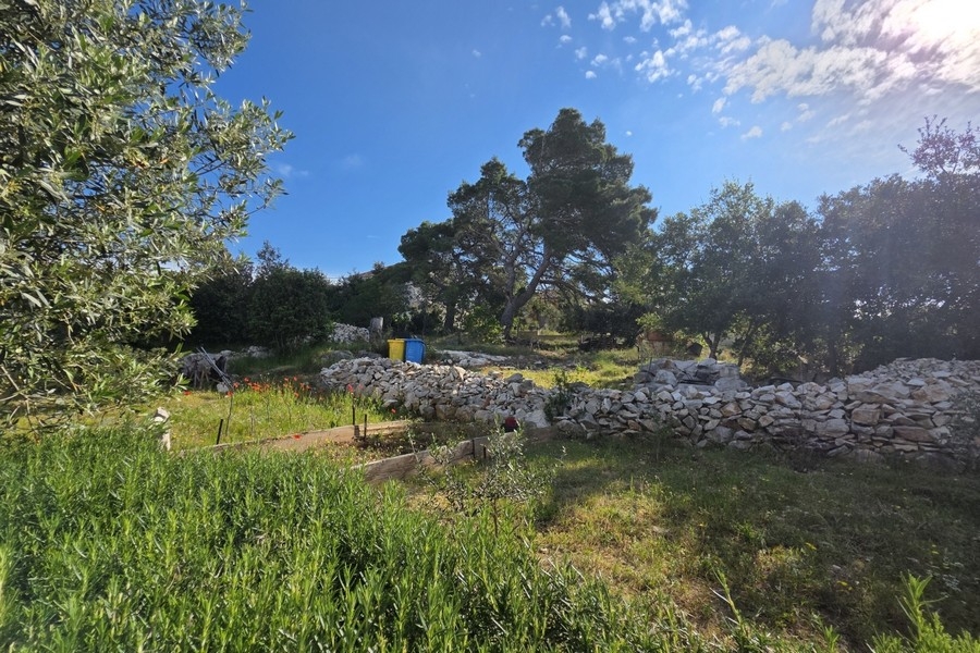 Terreno con ulivi e muro in pietra naturale
