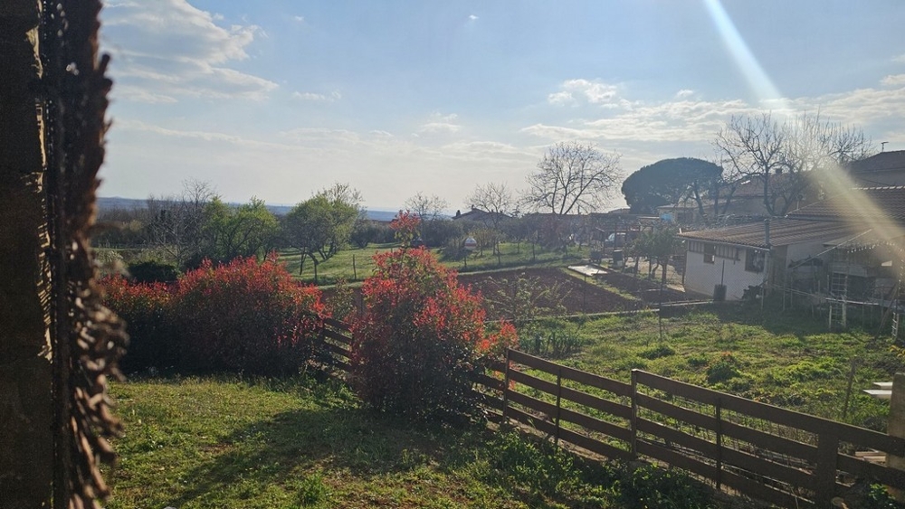Vista dalla casa sul giardino e sul verde circostante