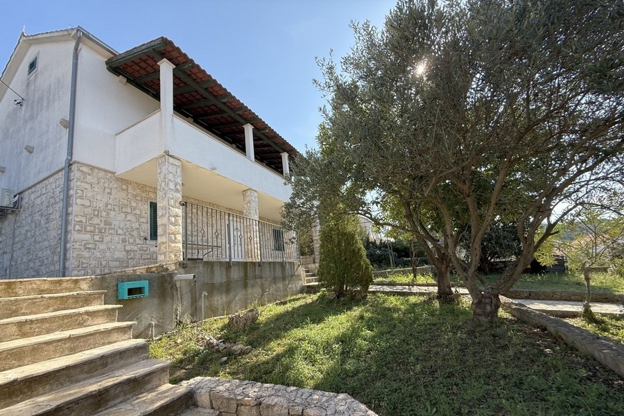 Vista esterna della casa con giardino e ulivo