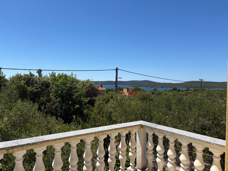 Vista sul mare oltre gli ulivi in Croazia