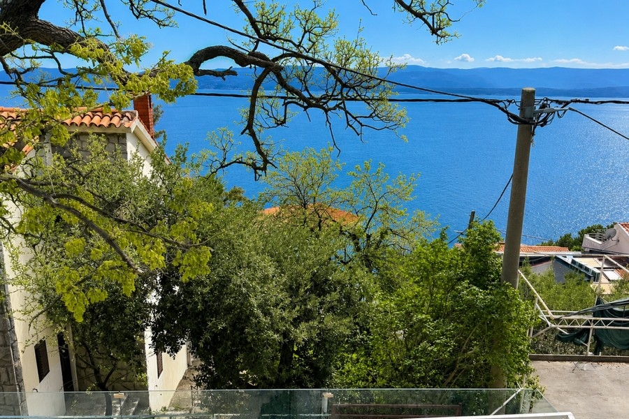 Vista sul mare tra gli alberi in Croazia