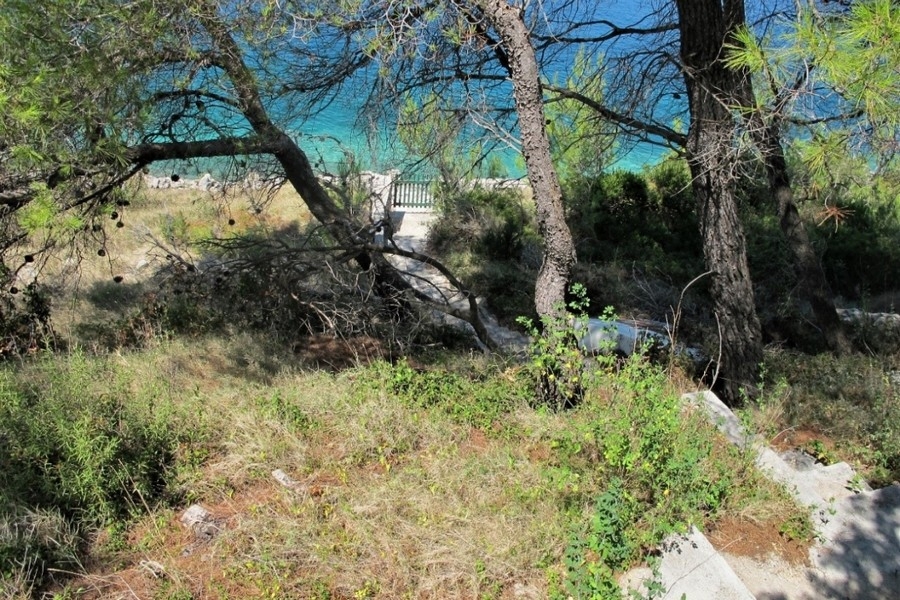 Terreno con pini e vista mare in Croazia