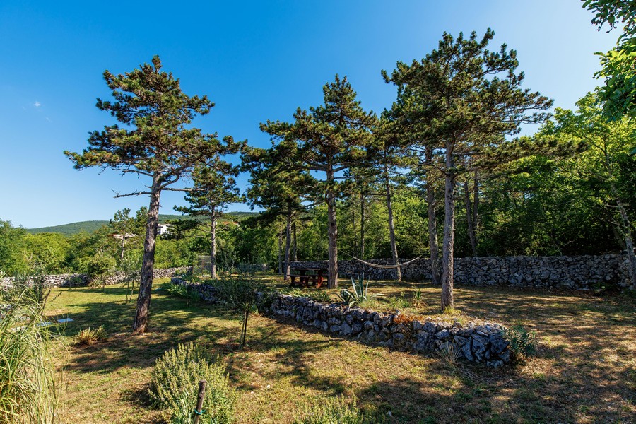 Grande terreno con pini in Croazia