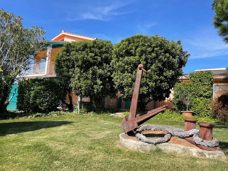 Giardino curato con albero vicino alla casa