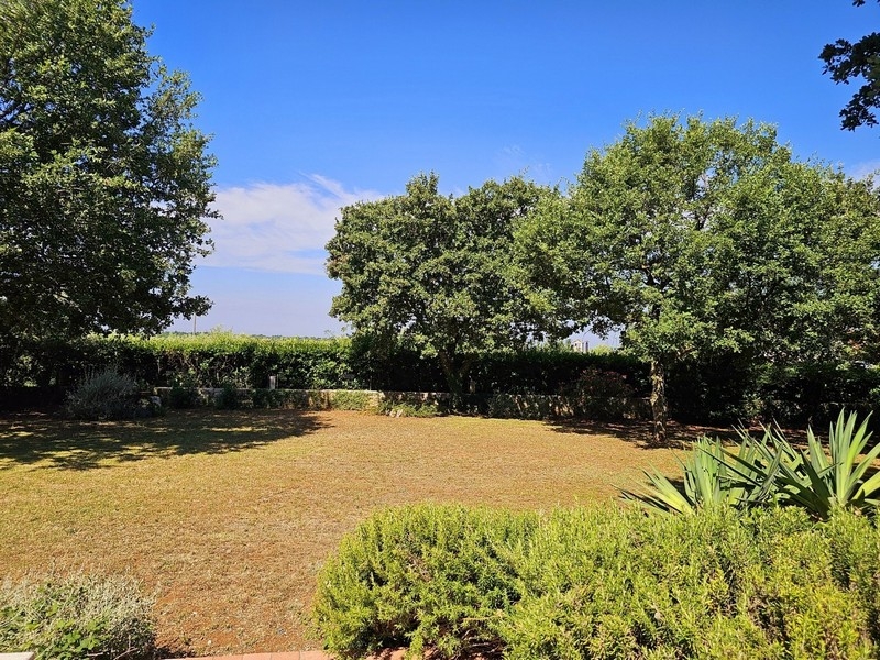 Ampio giardino con siepe e molto verde