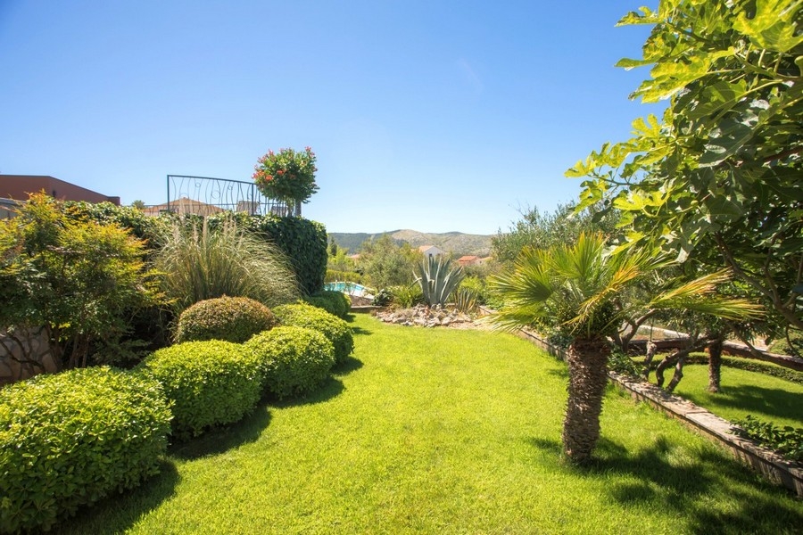 Giardino mediterraneo con prato curato