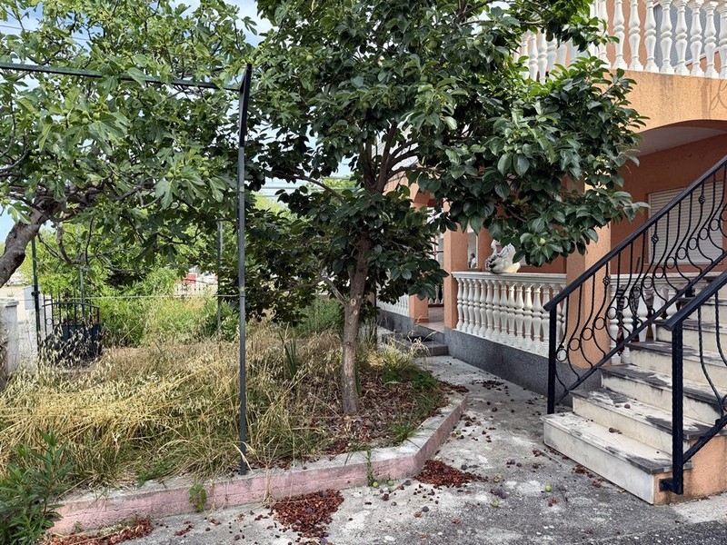 Giardino con alberi da frutto e scala esterna