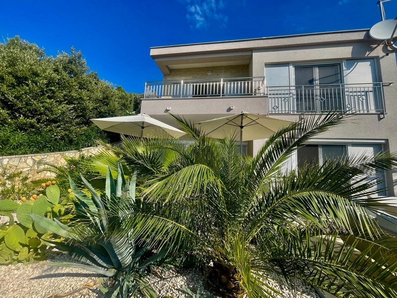 Vista della casa con palme e ombrellone