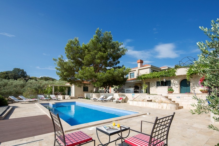 Piscina con zona relax sotto un vecchio pino