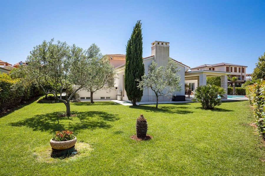 Giardino mediterraneo con ulivo