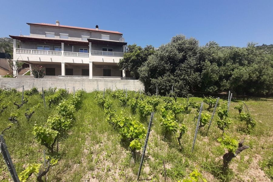 Esterno della casa con viti
