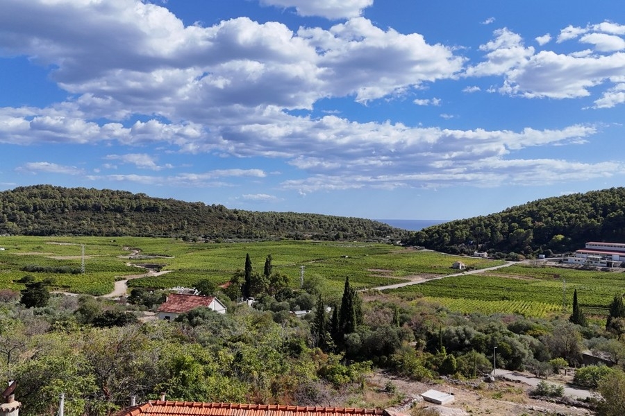 Vista su vigneti e campi
