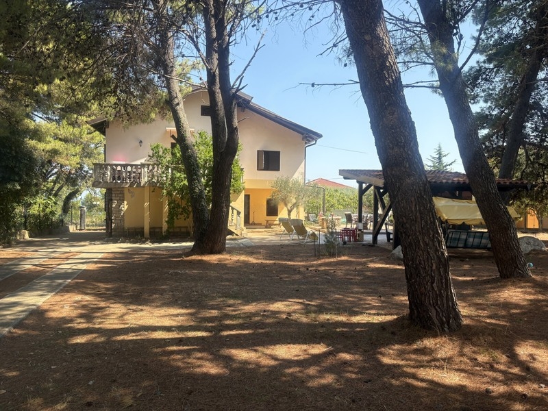 Casa tra alti pini nel grande giardino