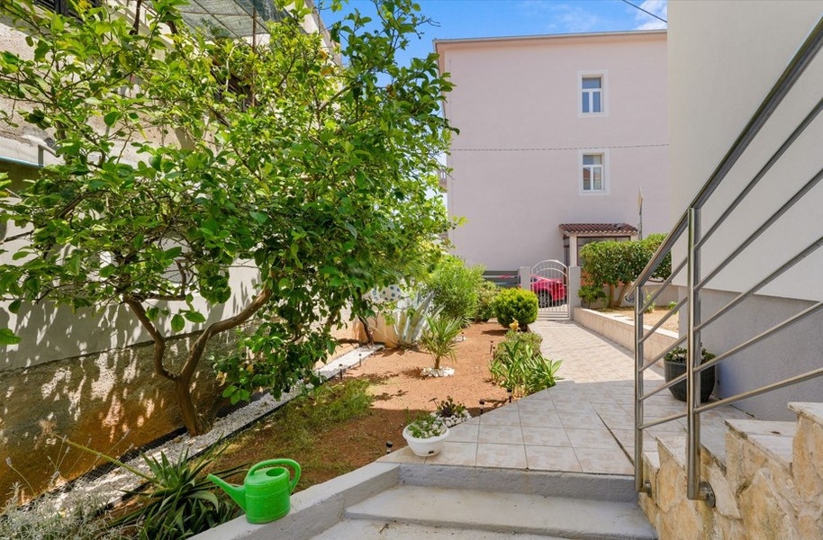 Giardino con vialetto e piante