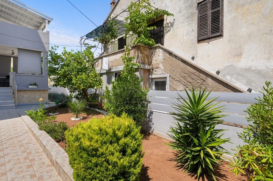 Giardino con palma e arbusti
