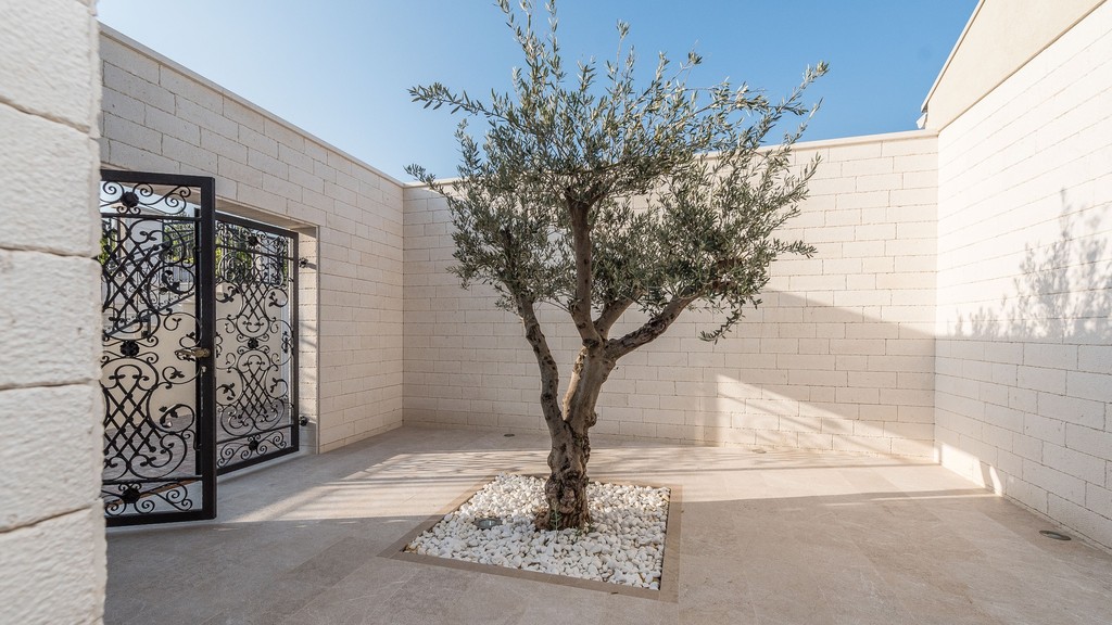 Cortile interno con ulivo