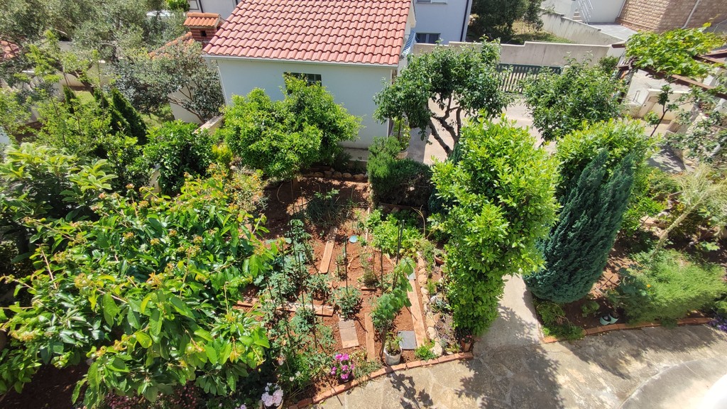 Giardino con alberi da frutto ed erbe aromatiche