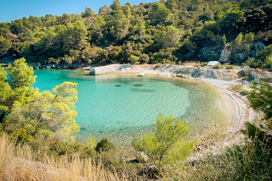 Vista sulla baia riparata attraverso i pini