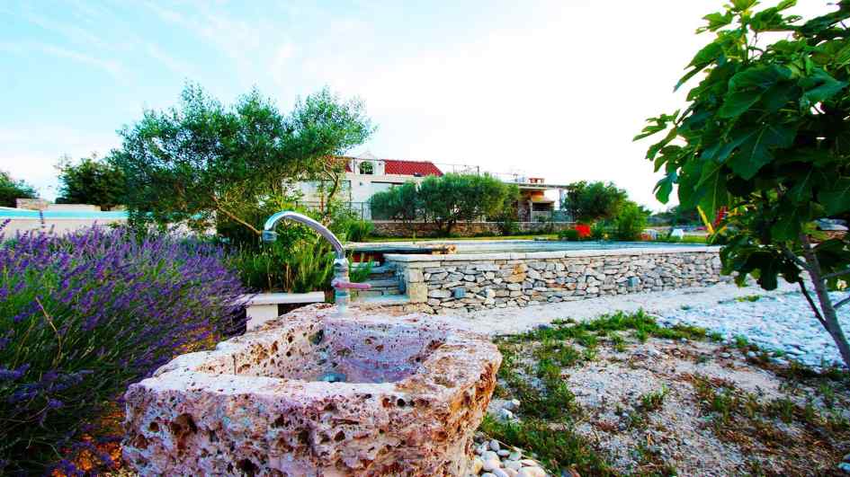Villa con grande terreno e piscina in Croazia sull'isola di Brac in vendita.
