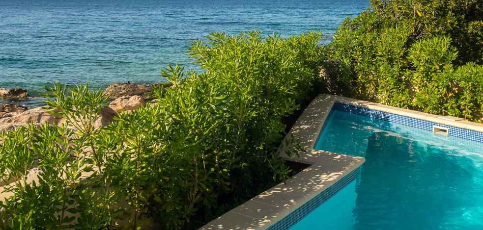 Angolo piscina con vista sui cespugli fino all'acqua