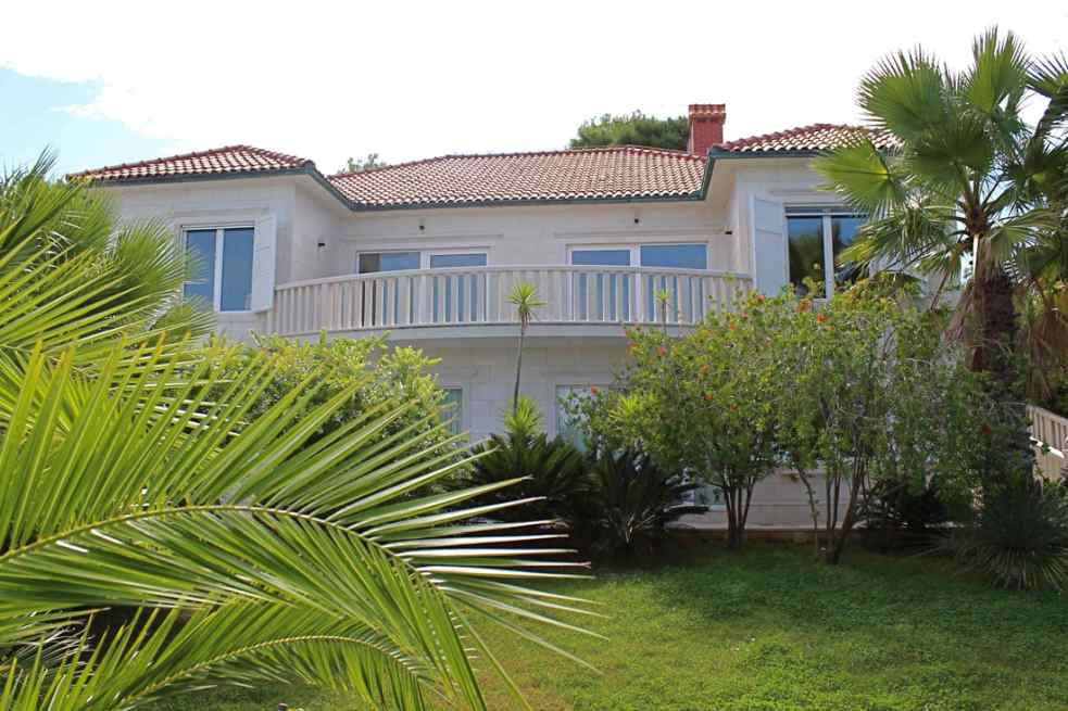 Casa con balcone curvo dietro foglie di palma
